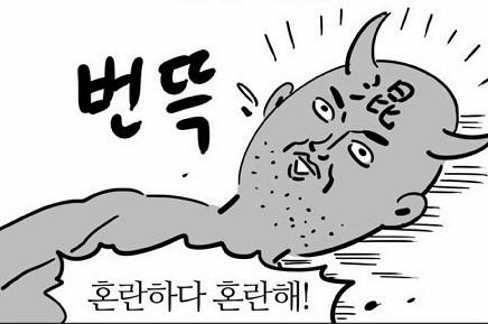 혼란하다 혼란해!